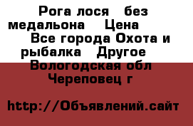 Рога лося , без медальона. › Цена ­ 15 000 - Все города Охота и рыбалка » Другое   . Вологодская обл.,Череповец г.